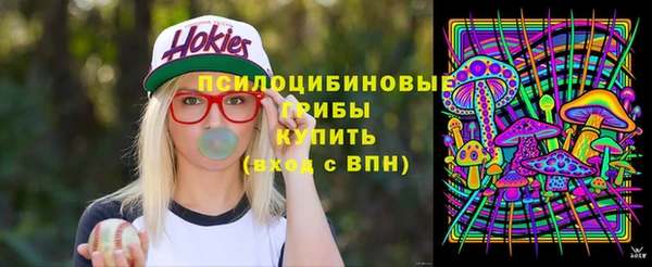 соль ск Каменск-Шахтинский
