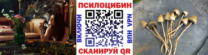 KRAKEN рабочий сайт  Котовск  Галлюциногенные грибы прущие грибы 